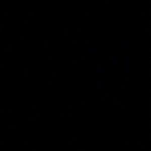 Meet your Posher, Berenice